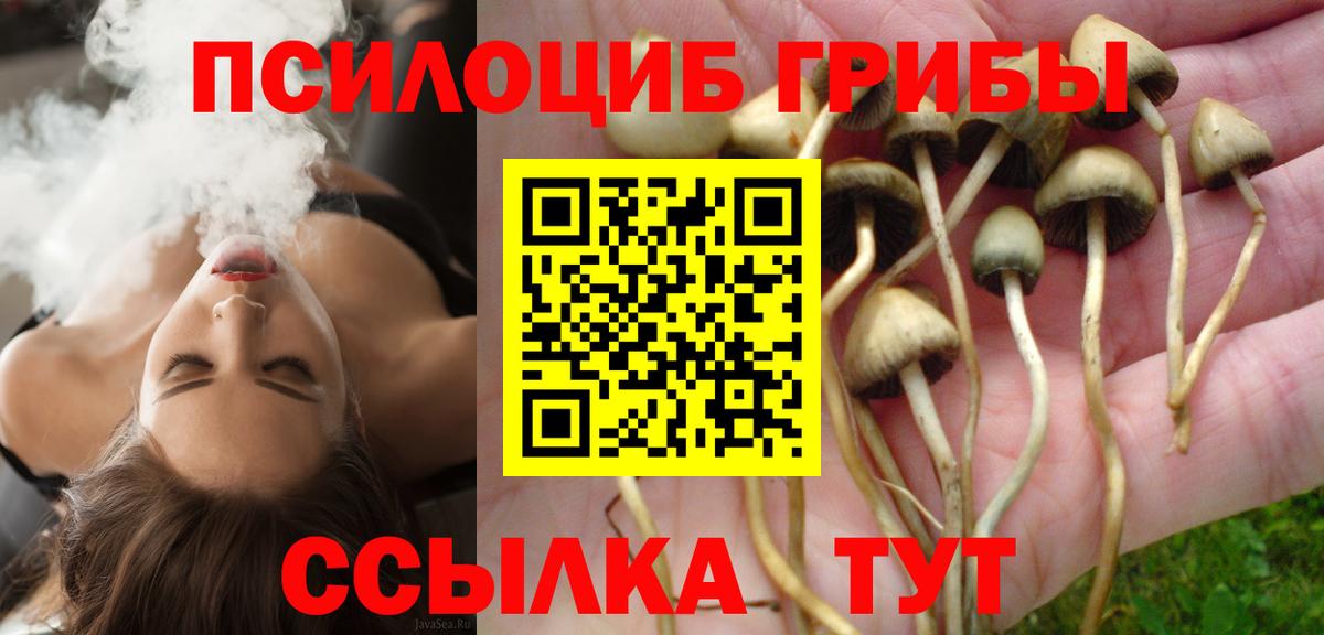 A PVP Елец
