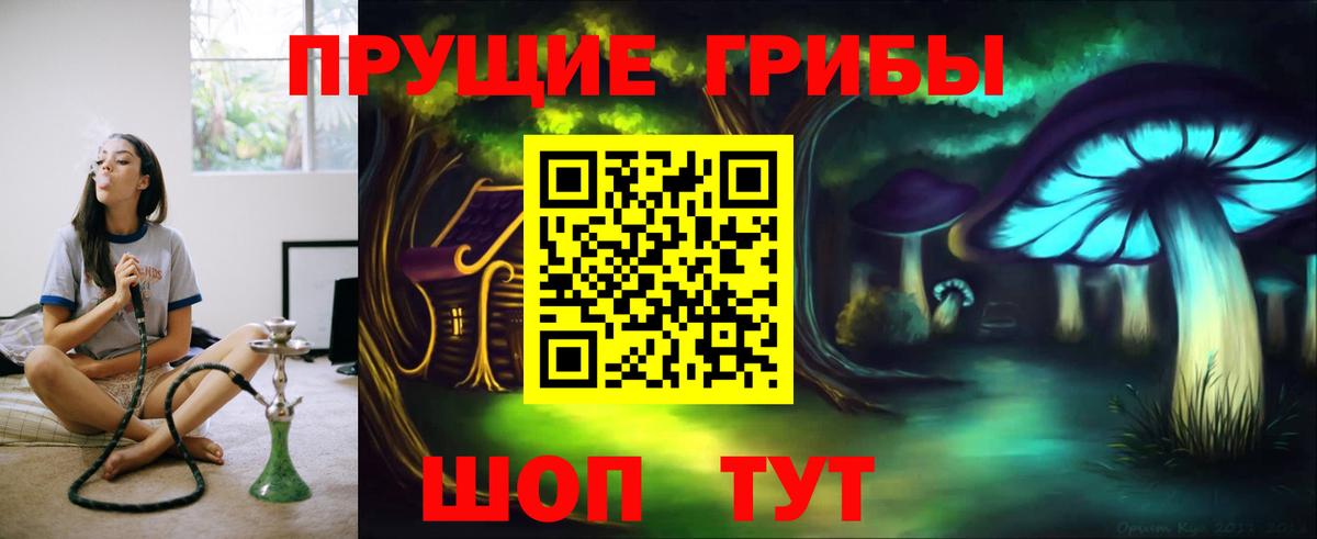 Псилоцибиновые грибы Magic Shrooms  Вход с VPN  магазин продажи   Елец 