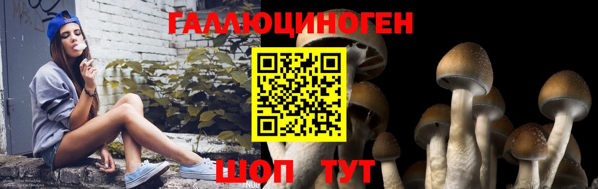 Псилоцибиновые грибы Magic Shrooms Елец